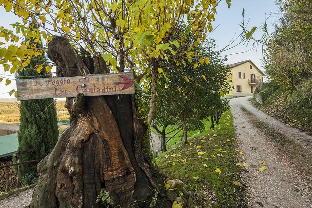 Il Poggio Dei Tre Contadini Villa Ponte Felcino Dış mekan fotoğraf